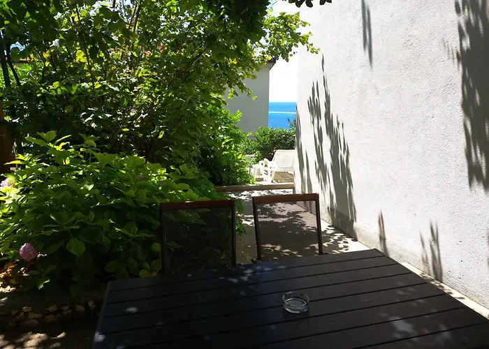 Robo 아파트 오미스